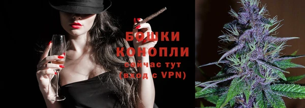 PSILOCYBIN Балахна