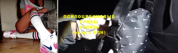 молекула духа Аркадак