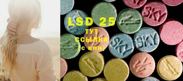 PSILOCYBIN Балахна